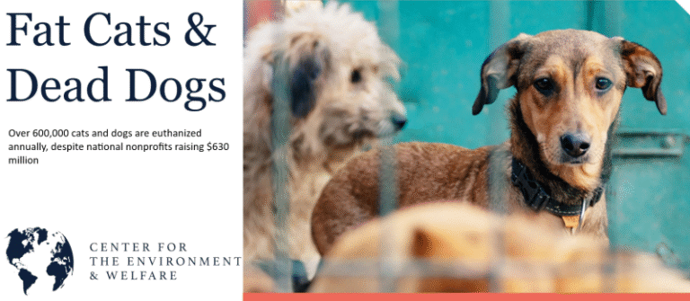 CONSUMER ALERT – Not All Animal Charities Make Santa’s ‘Nice’ List