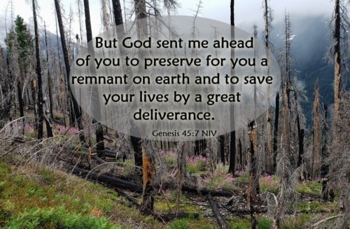 God Works Even Through Our Suffering – Genesis 45:7