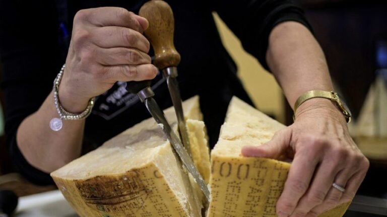 Eating high-fat cheese could lower dementia risk, study suggests