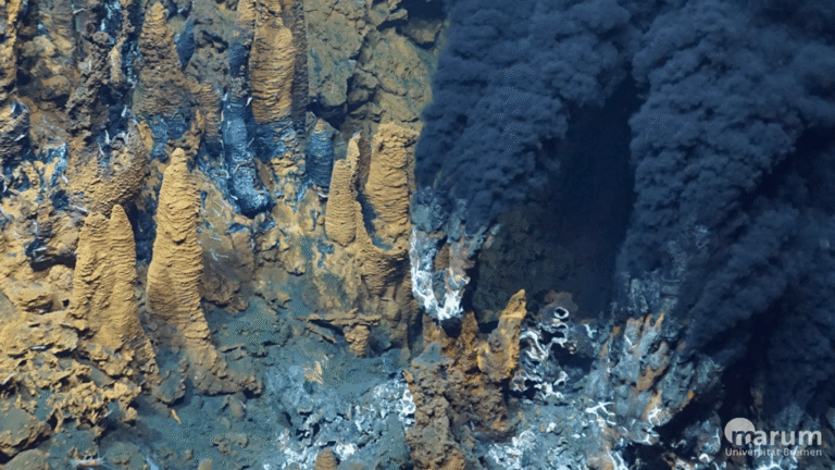 Hydrothermal Circulation and Its Impact on the Earth System