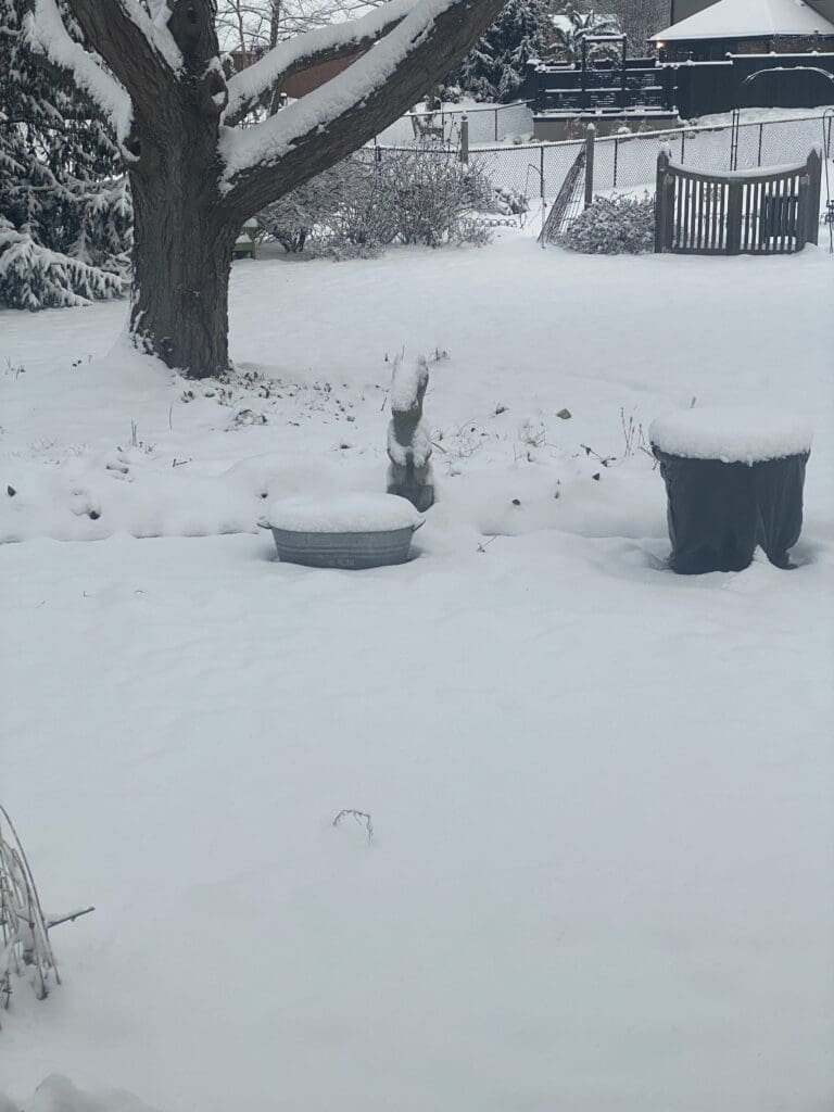 Garden Fairies Discuss New Fence