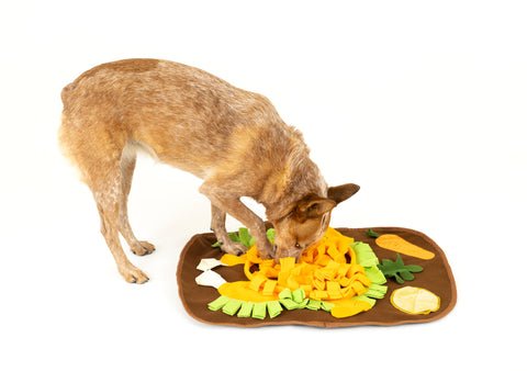 Best Holiday Pet Gifts 2025: The Ultimate Pet Gift Guide