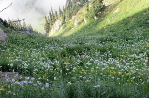 Clean the Inside, and the Outside Will Be Clean – Luke 11:39