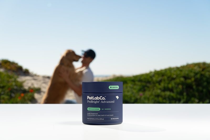 Dental Powders for Dogs: A Simple Way to Clean Teeth and Help Freshen Breath