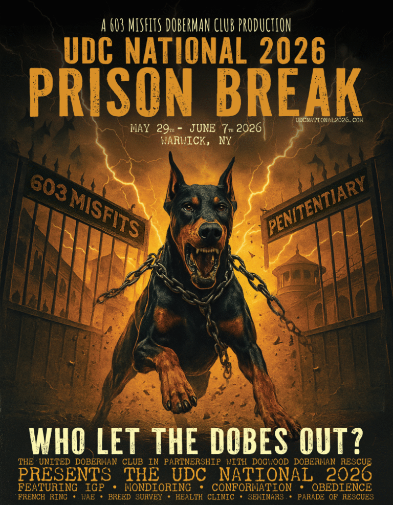 Doberman Enthusiasts to Gather for 2026 UDC Nationals Competition in New York