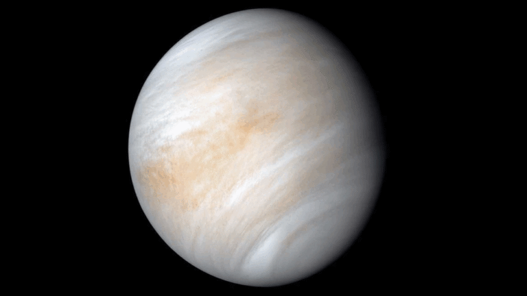 Is Convection Wobbling Venus?