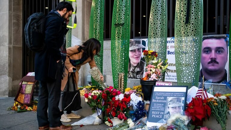 Afghans in US and abroad fear ‘devolving situation’ amid Trump immigration crackdown