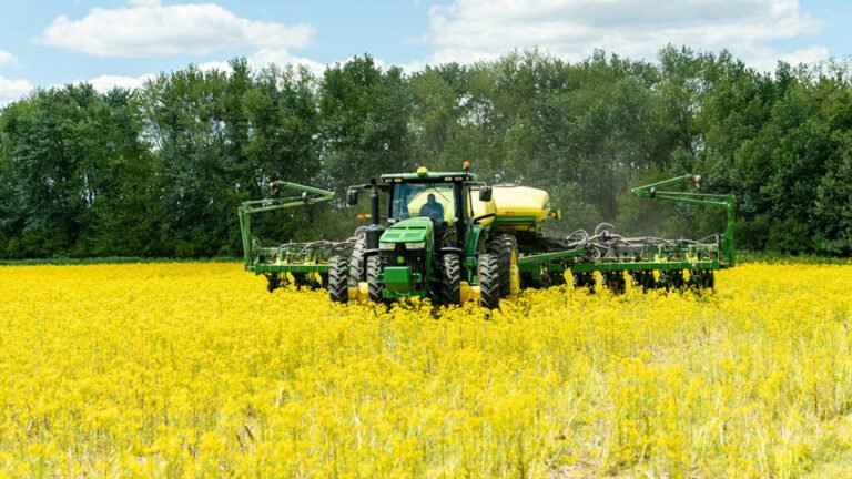 How Can We Tell If Climate-Smart Agriculture Stores Carbon?