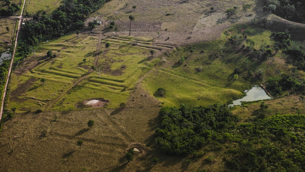 How Ancient Indigenous Societies Made Today’s Amazon More Resilient