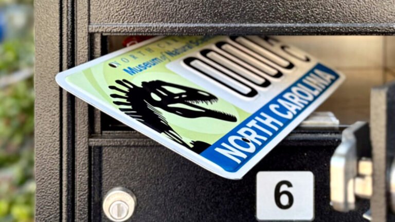 NC Drivers Just Got a Plate That’s 110 Million Years in the Making