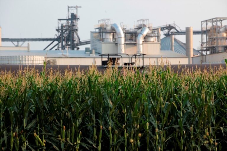 In Iowa, Trump backs year-round sales of high-ethanol gas amid GOP divisions