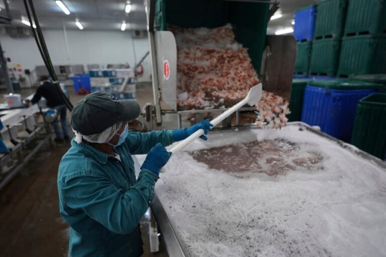 Congress has the chance to help save the US shrimping industry