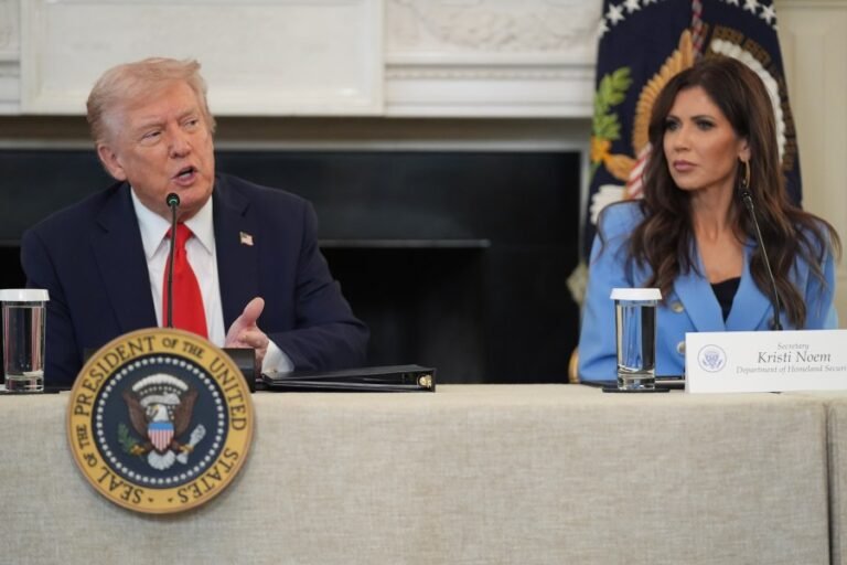 Parallel universe: Imagine illegal immigrants had killed Alex Pretti and Renee Good