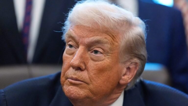 Trump plans minerals summit