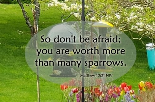 Don’t Be Afraid; God Loves You – Matthew 10:29-31