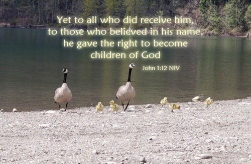 To All Who Believed in His Name – John 1:12