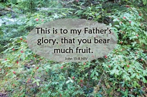 Ask Whatever You Wish – John 15:7-8