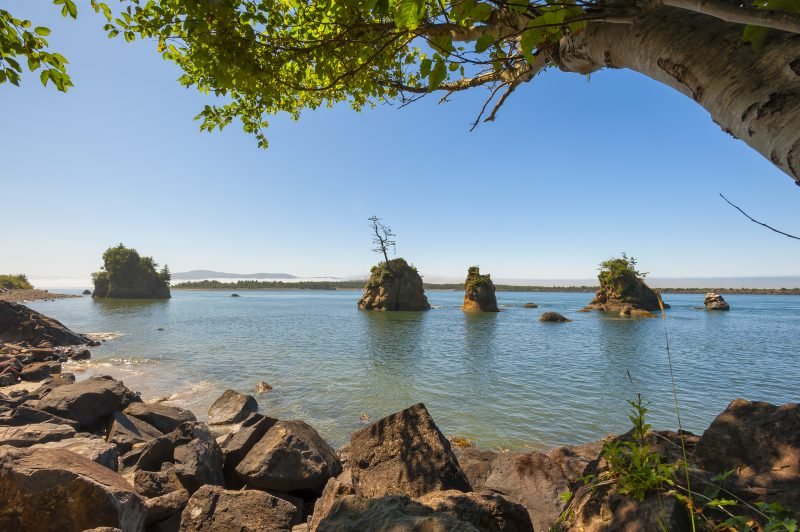 Remains that washed up on Washington beach identified as former Oregon mayor