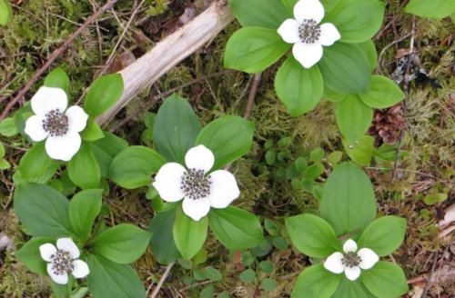 Test Your Own Actions – Galatians 6:4-5