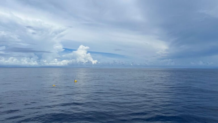 AI Sheds Light on Hard-to-Study Ocean Currents