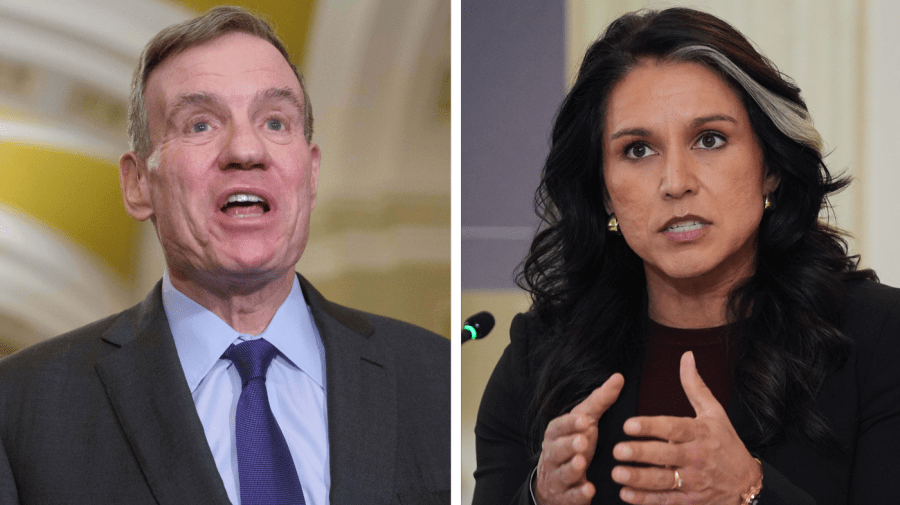 Warner: 'Why is Tulsi Gabbard at an FBI raid on an election office in Fulton County?'