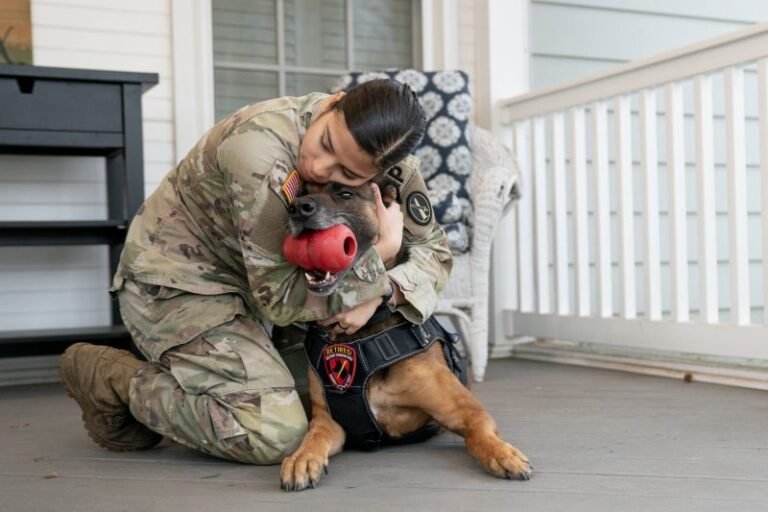 Military Dog Reunites with Handler and Retires on U.S. Soil