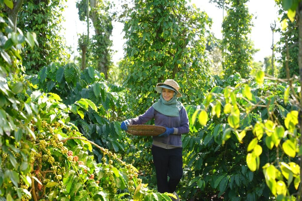 AgriFood Signals: BSF bags $20m, Nestlé advances regen ag, SF sues ultraprocessed food firms