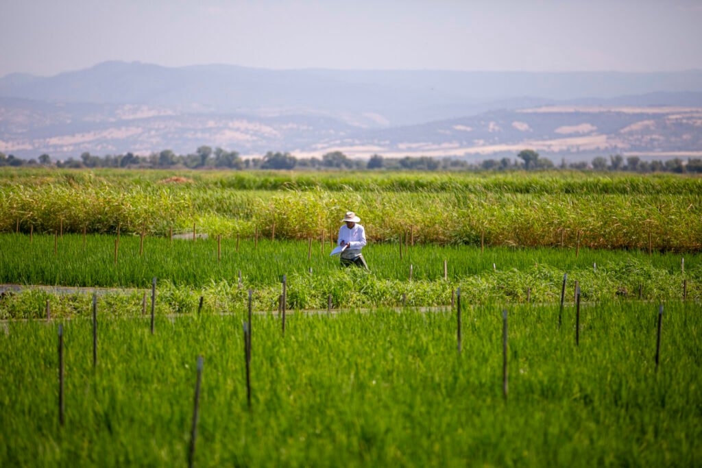 What it actually takes to become ‘regenerative organic’—even if you’ve been doing it for a century