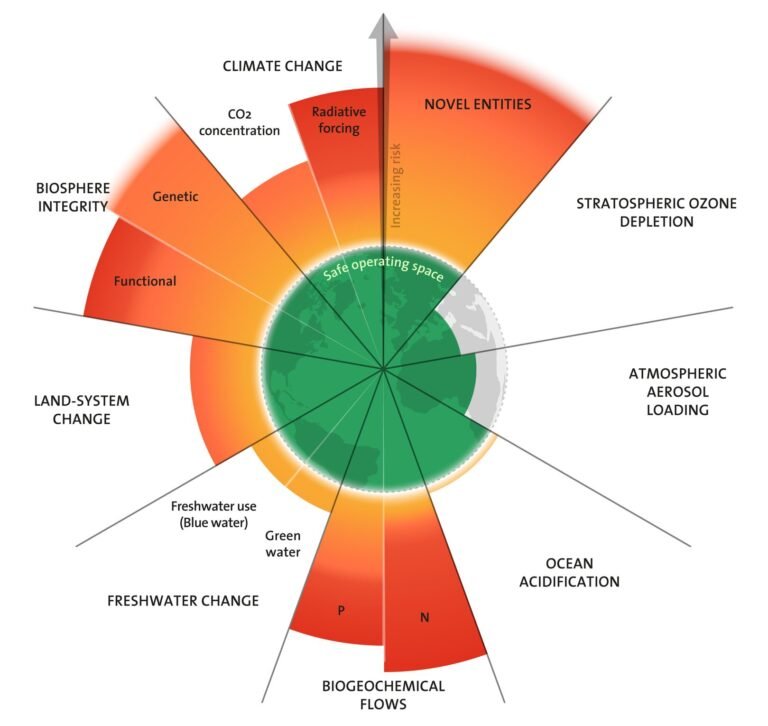 Planetary health 101: what it is, why it matters for the future of the global economy