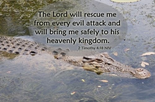 Rescued from Every Evil Attack – 2 Timothy 4:18