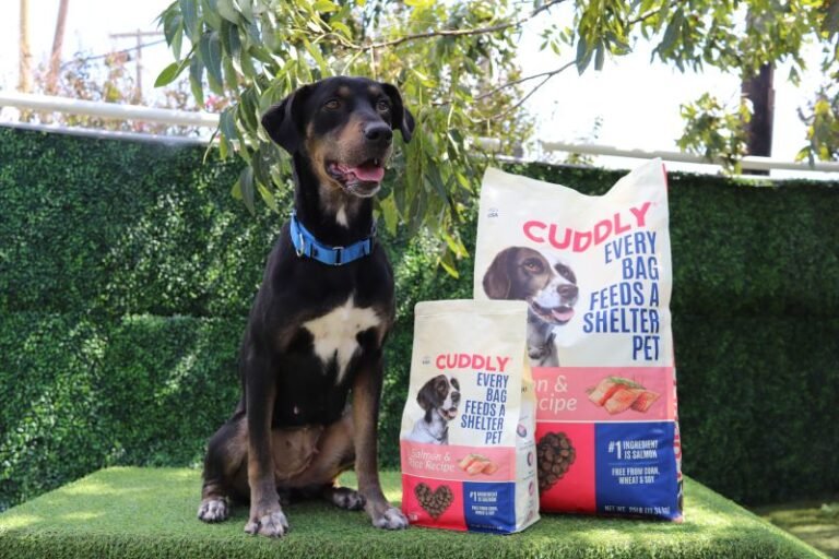 The Dog Food That Feeds Shelter Pets Every Time You Buy a Bag