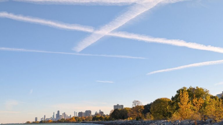 New Insights into the Foggy Role of Contrails Within Clouds