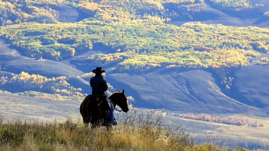 Democrat or Republican, Americans want their National Forests kept intact 