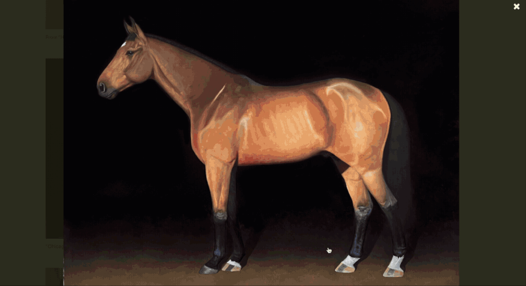 Check Out Colossal’s New Image Slideshow Feature