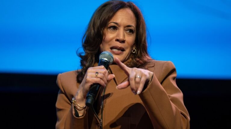 Kamala Harris: Don Lemon arrest 'an affront to our rights and freedoms'