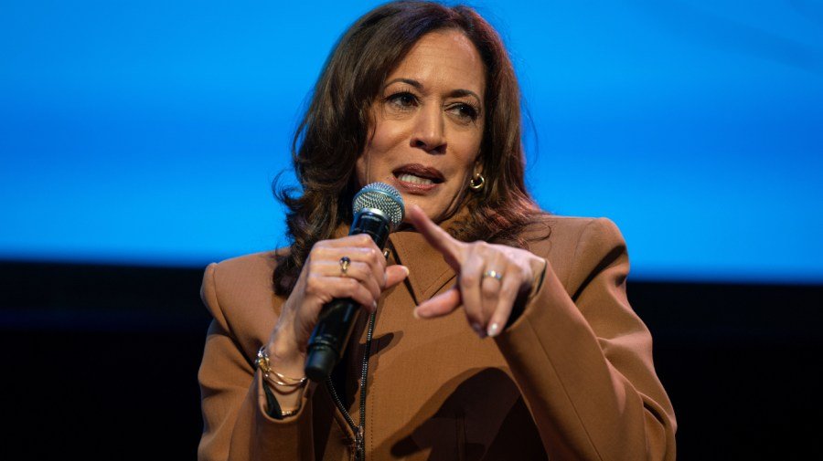Kamala Harris: Don Lemon arrest 'an affront to our rights and freedoms'