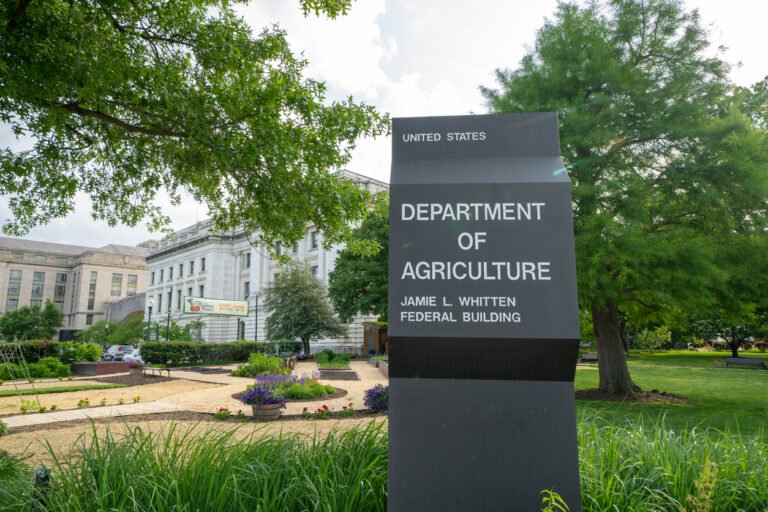 ‘Investing in regenerative and organic is not a political stance’: agrifood reacts to USDA’s regen ag pilot