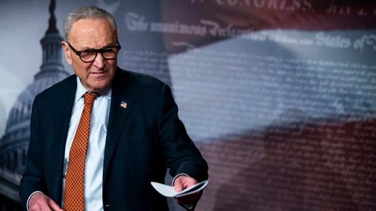 Democrats expecting Trump to interfere with midterms, Schumer says