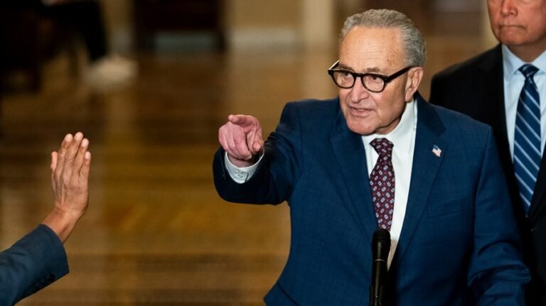 Democrats lay out immigration enforcement demands to avert shutdown