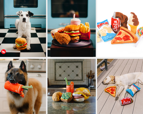 Top Holiday Pet Gifts for Dogs & Cats: Your Ultimate Pet Gift Guide for 2024