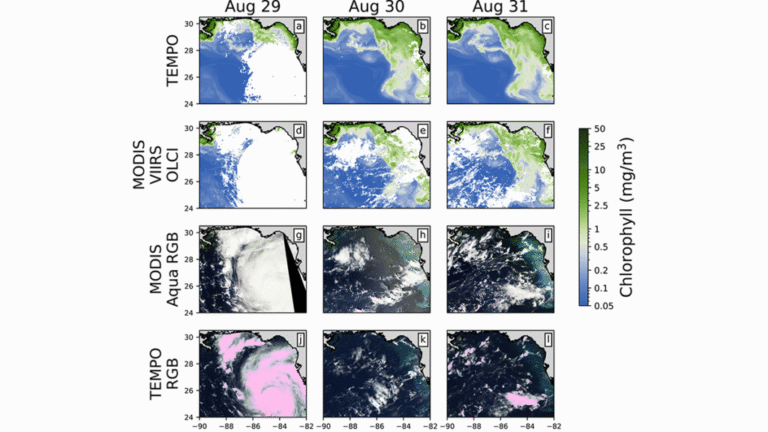 Monitoring Ocean Color From Deep Space: A TEMPO Study