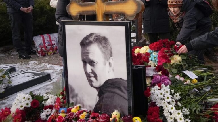 Russia: Claims Navalny was poisoned with dart frog toxin 'not based on anything'