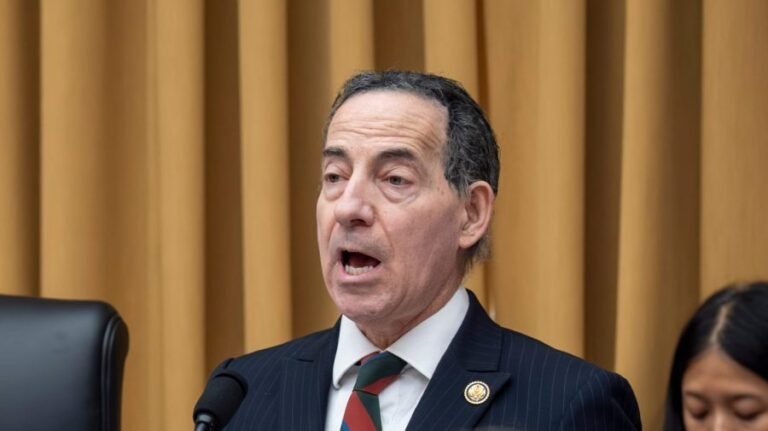 Raskin on Bondi 'washed-up' jab: 'Let’s talk about serious law'