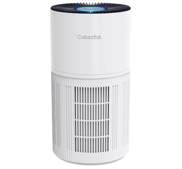 Large Room Air Purifier just $39.99 shipped (Reg. $100!)