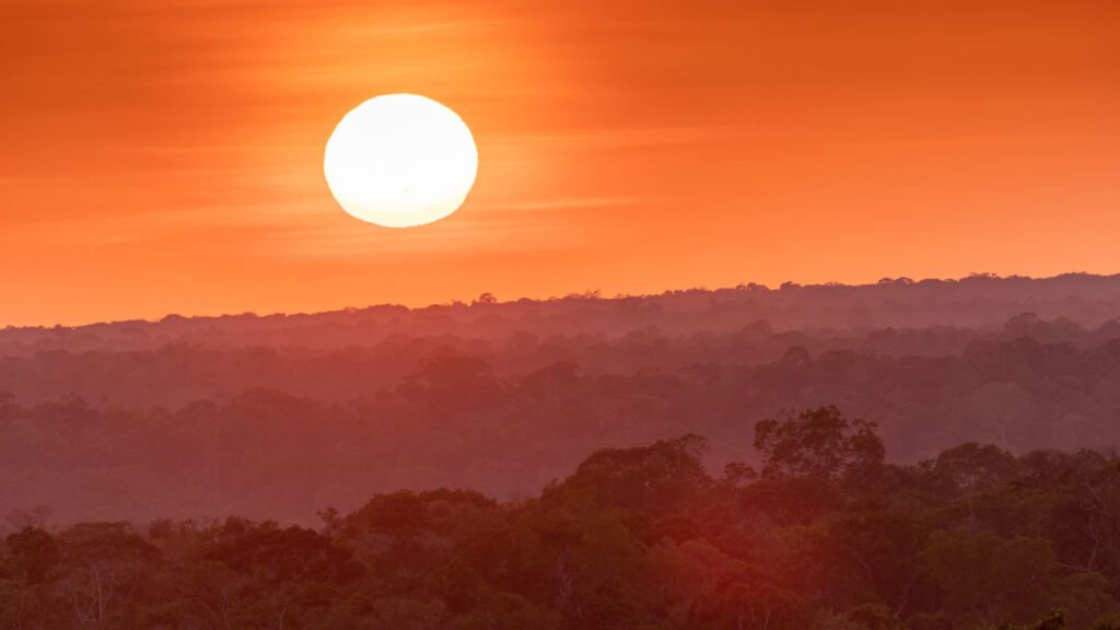 Drought Drove the Amazon’s 2023 Switch to a Carbon Source