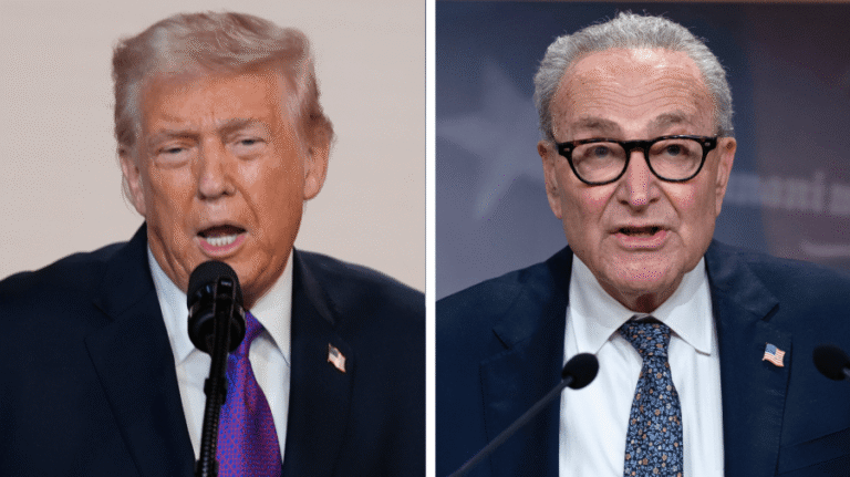 Schumer calls Trump claim that Dem leader suggested renaming Penn Station after him an 'absolute lie'