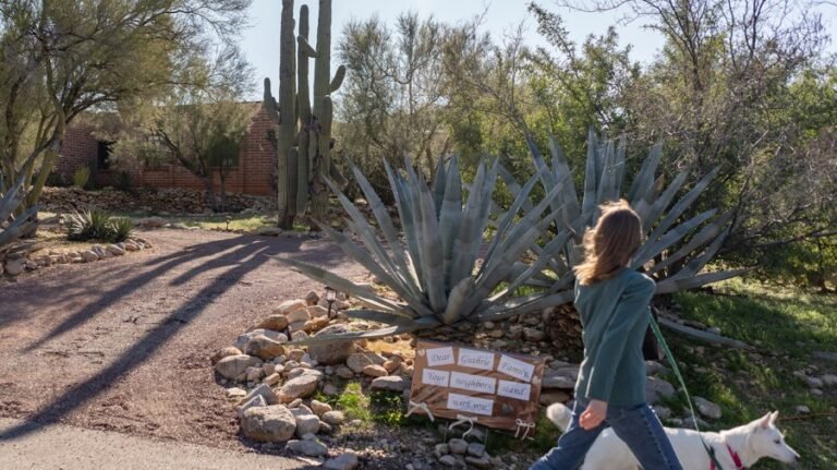 Five takeaways on the search for Savannah Guthrie's mother