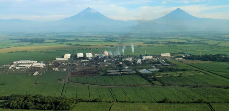 Latam sugar giant Magdalena plans 650,000-L precision fermentation facility in Guatemala