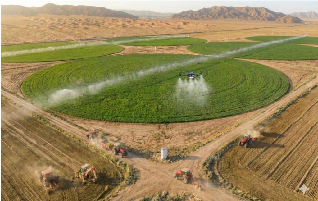 Guest article: How the state’s ‘visible hand’ is driving China’s new agrifood investment playbook