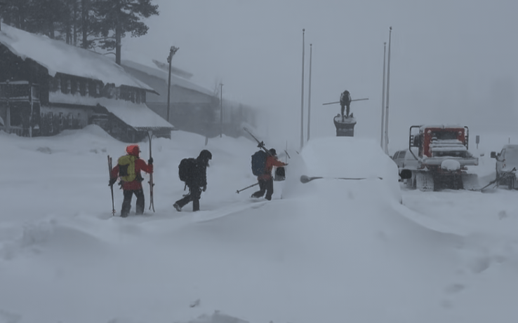 Eight skiers killed in California avalanche, one missing